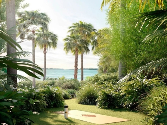 the residences at mandarin oriental-Morgana Team Realtors