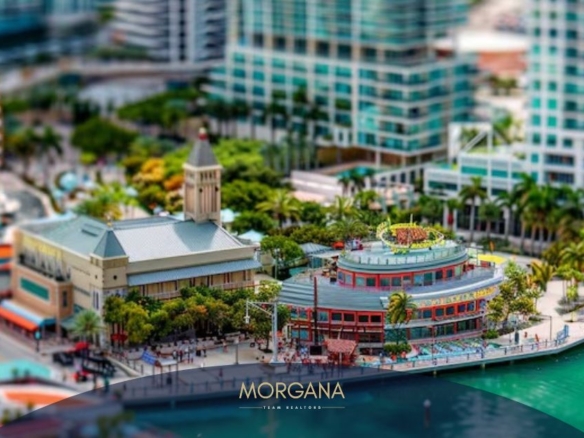 Parques Temáticos y Más La Vida en los Alrededores de los Motores Turísticos de Orlando - Morgana Team Realtors