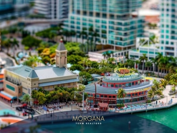 Parques Temáticos y Más_ La Vida en los Alrededores de los Motores Turísticos de Orlando - Morgana Team Realtors